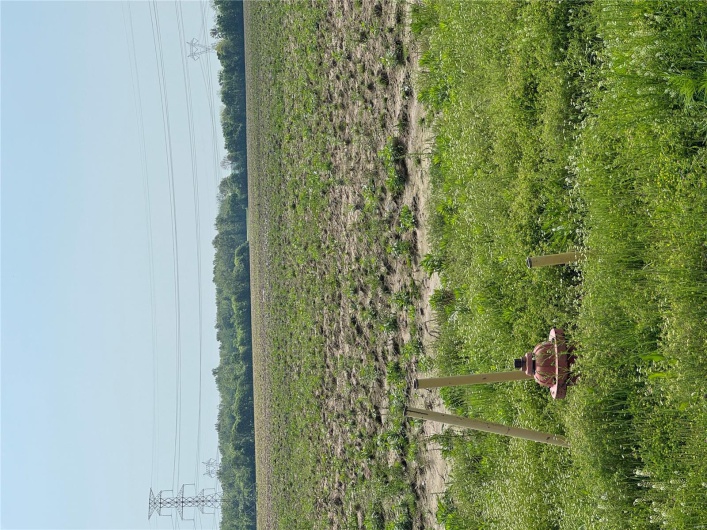 0 I55 outer road, Marston, Missouri 63866, ,Farm,For Sale,I55 outer road,MAR25008508