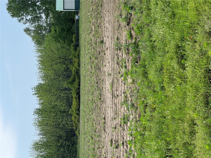 0 I55 outer road, Marston, Missouri 63866, ,Farm,For Sale,I55 outer road,MAR25008508