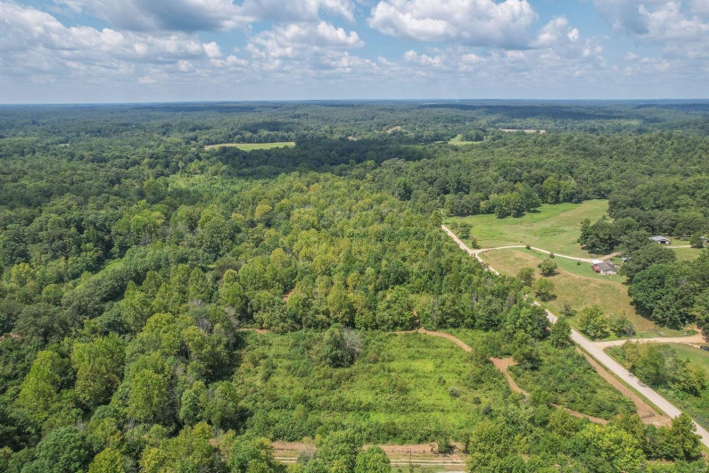 0 N OF CO RD 450, Poplar Bluff, Missouri 63901, ,Farm,For Sale,N OF CO RD 450,MAR24052980