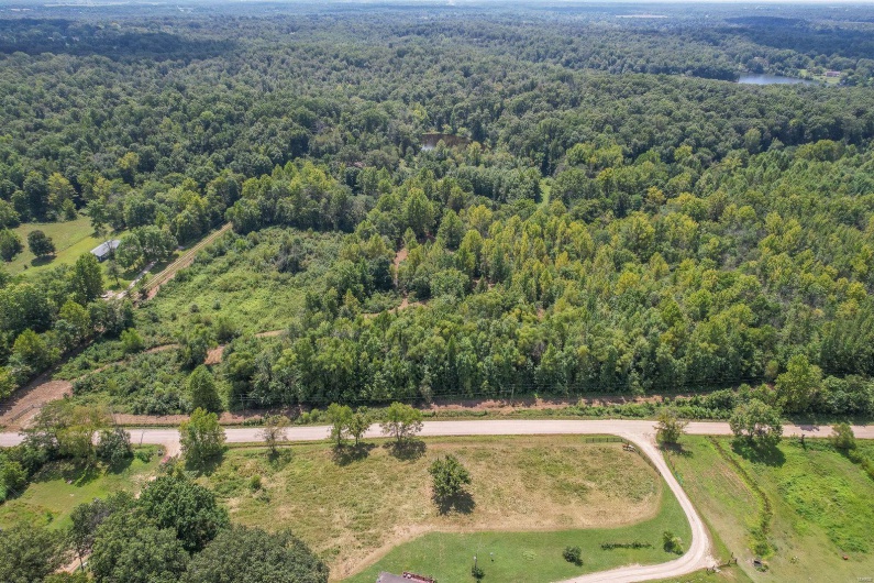 0 N OF CO RD 450, Poplar Bluff, Missouri 63901, ,Farm,For Sale,N OF CO RD 450,MAR24052980