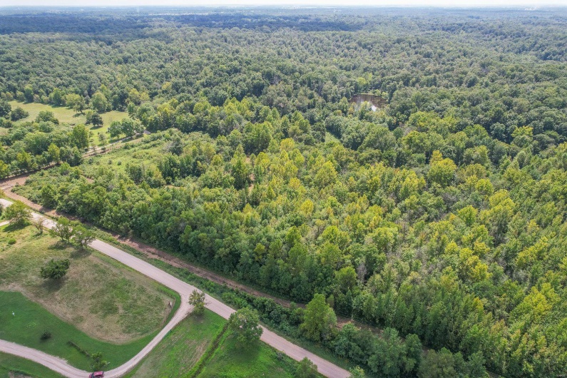 0 N OF CO RD 450, Poplar Bluff, Missouri 63901, ,Farm,For Sale,N OF CO RD 450,MAR24052980