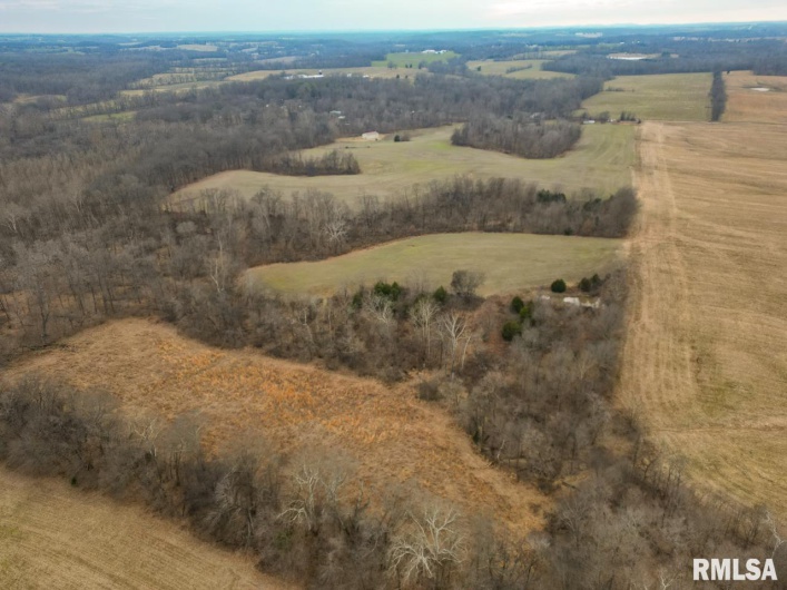 200 WEAVER Lane, Buncombe, Illinois 62912, 0 , 0 ,0,Land,For Sale,WEAVER,0,RMACA1034437