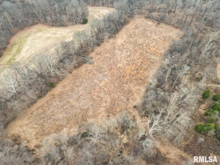 200 WEAVER Lane, Buncombe, Illinois 62912, 0 , 0 ,0,Land,For Sale,WEAVER,0,RMACA1034437