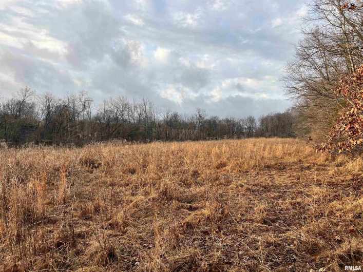 200 WEAVER Lane, Buncombe, Illinois 62912, 0 , 0 ,0,Land,For Sale,WEAVER,0,RMACA1034437