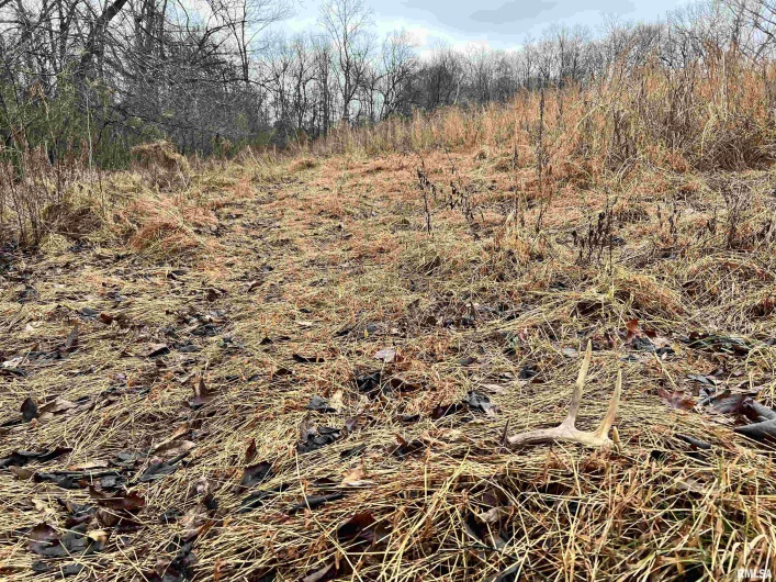 200 WEAVER Lane, Buncombe, Illinois 62912, 0 , 0 ,0,Land,For Sale,WEAVER,0,RMACA1034437