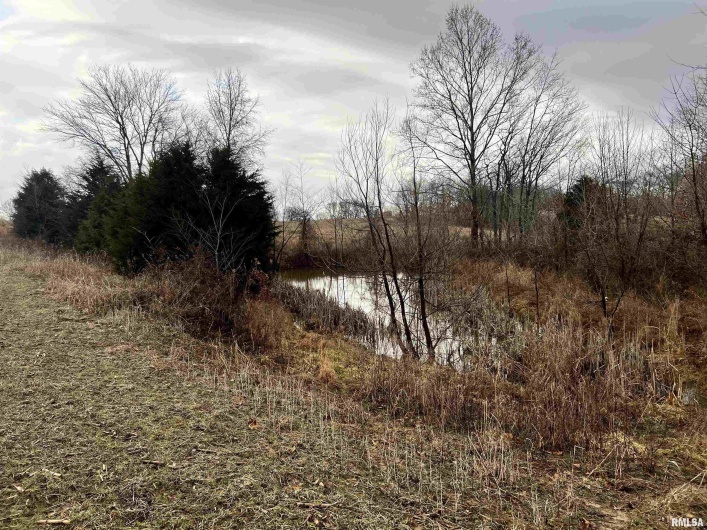 200 WEAVER Lane, Buncombe, Illinois 62912, 0 , 0 ,0,Land,For Sale,WEAVER,0,RMACA1034437
