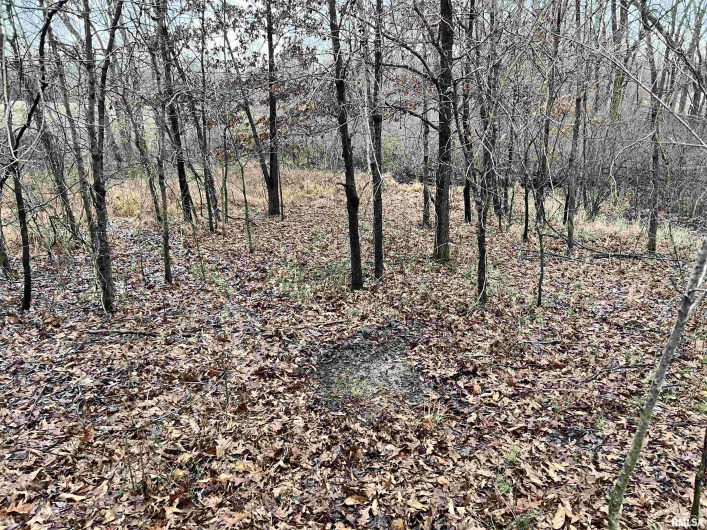 200 WEAVER Lane, Buncombe, Illinois 62912, 0 , 0 ,0,Land,For Sale,WEAVER,0,RMACA1034437