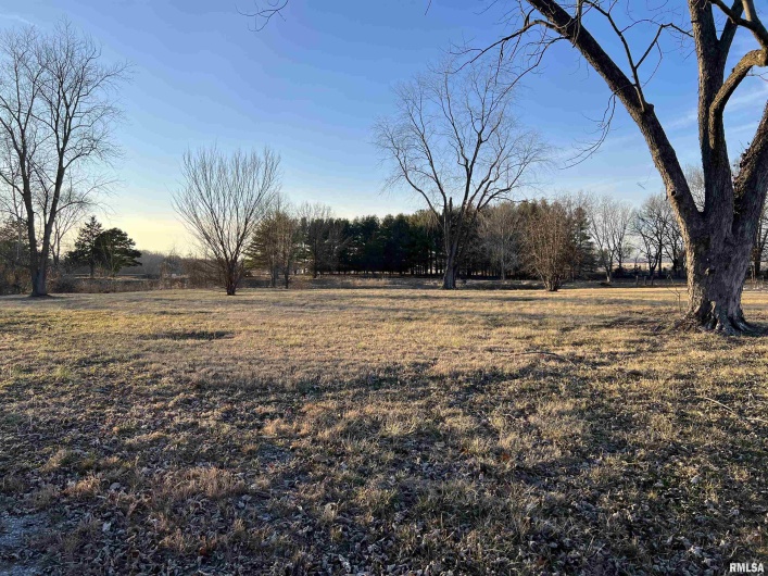 0 Reed Station Road, DeSoto, Illinois 62924, 0 , 0 ,0,Land,For Sale,Reed Station,0,RMAEB452128