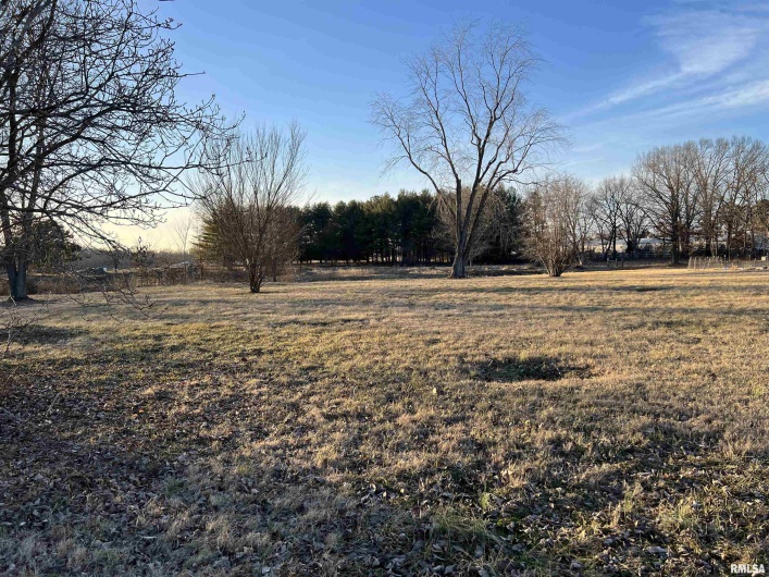 0 Reed Station Road, DeSoto, Illinois 62924, 0 , 0 ,0,Land,For Sale,Reed Station,0,RMAEB452128