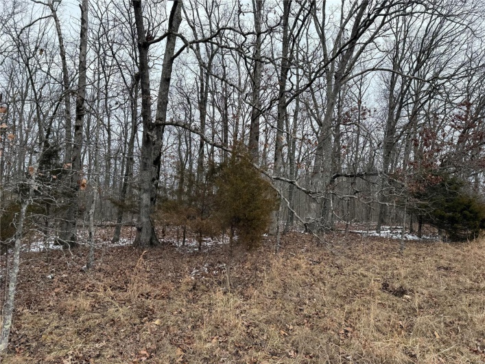 2 BCR 924, Patton, Missouri 63662, ,Farm,For Sale,BCR 924,MAR25008649