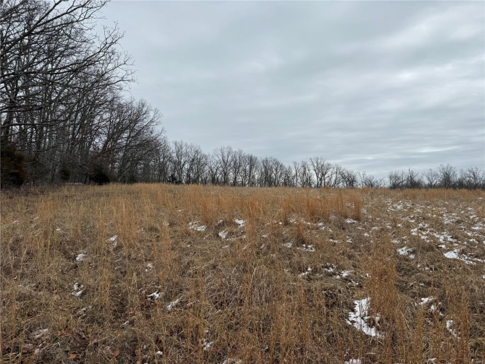 2 BCR 924, Patton, Missouri 63662, ,Farm,For Sale,BCR 924,MAR25008649