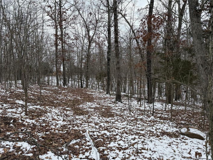 2 BCR 924, Patton, Missouri 63662, ,Farm,For Sale,BCR 924,MAR25008649