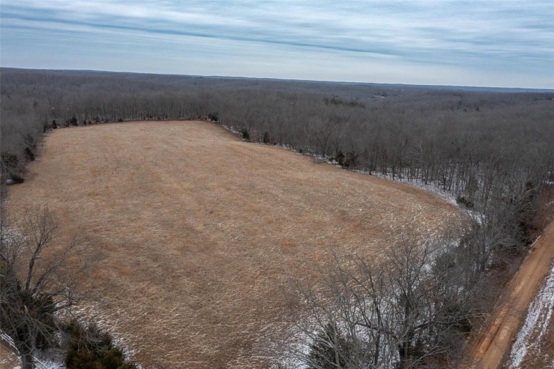 2 BCR 924, Patton, Missouri 63662, ,Farm,For Sale,BCR 924,MAR25008649