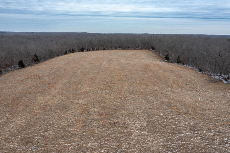 2 BCR 924, Patton, Missouri 63662, ,Farm,For Sale,BCR 924,MAR25008649