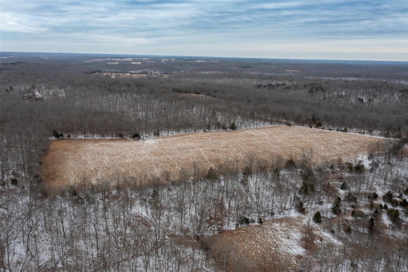 2 BCR 924, Patton, Missouri 63662, ,Farm,For Sale,BCR 924,MAR25008649