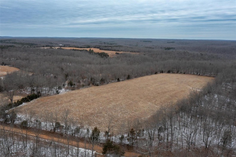 2 BCR 924, Patton, Missouri 63662, ,Farm,For Sale,BCR 924,MAR25008649