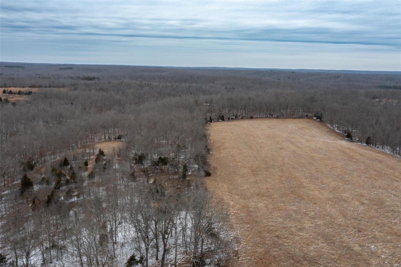 2 BCR 924, Patton, Missouri 63662, ,Farm,For Sale,BCR 924,MAR25008649