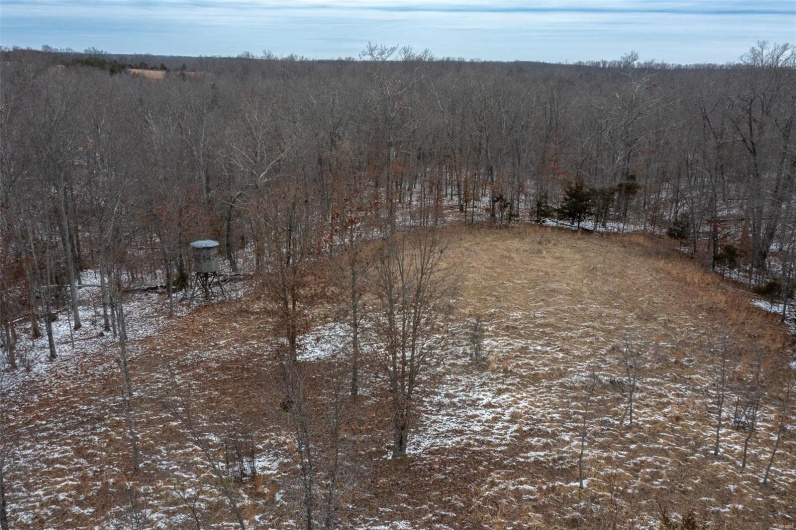 2 BCR 924, Patton, Missouri 63662, ,Farm,For Sale,BCR 924,MAR25008649