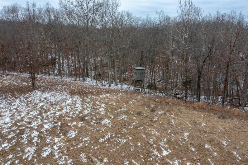 2 BCR 924, Patton, Missouri 63662, ,Farm,For Sale,BCR 924,MAR25008649