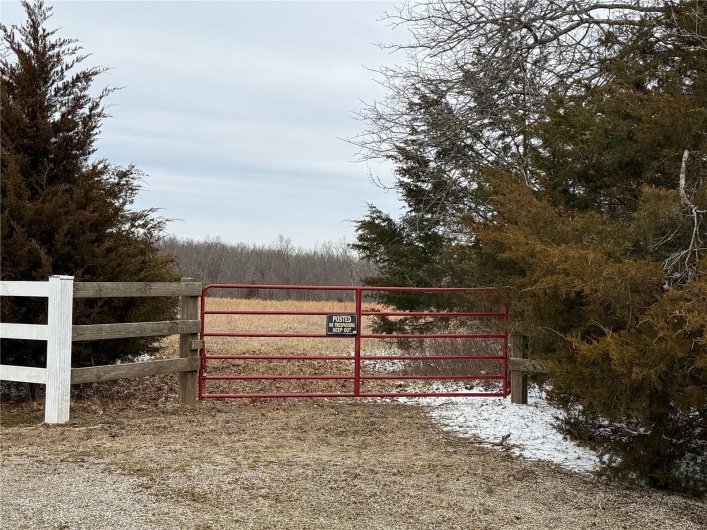 2 BCR 924, Patton, Missouri 63662, ,Farm,For Sale,BCR 924,MAR25008649