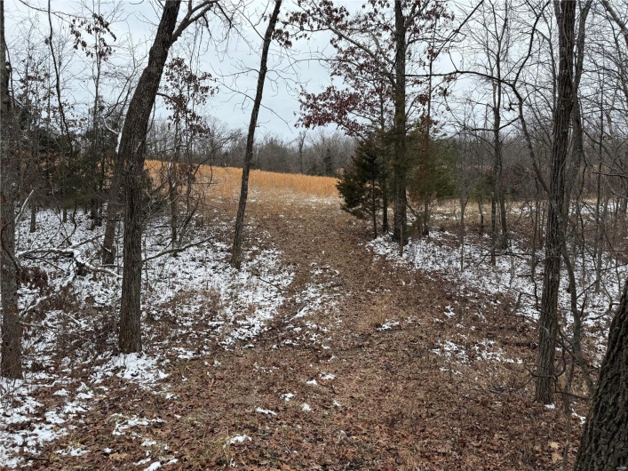 2 BCR 924, Patton, Missouri 63662, ,Farm,For Sale,BCR 924,MAR25008649