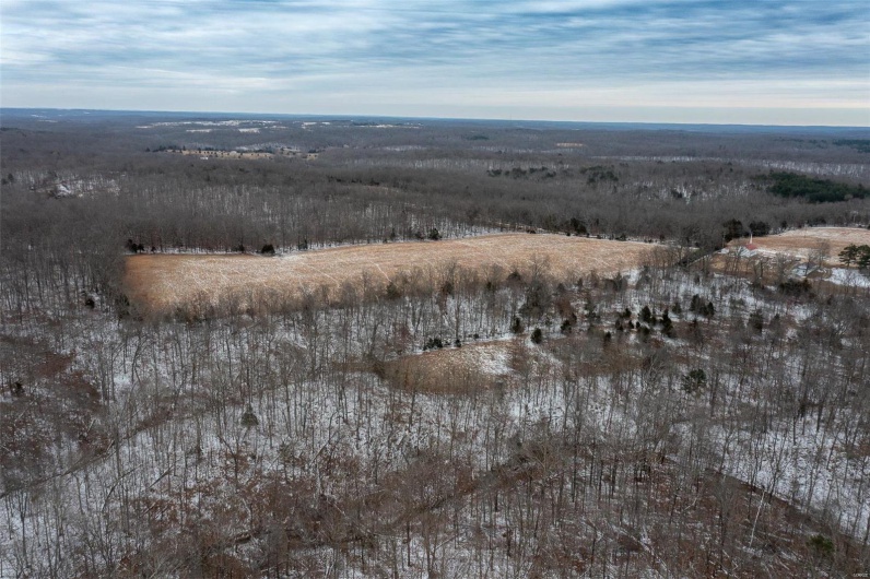 2 BCR 924, Patton, Missouri 63662, ,Farm,For Sale,BCR 924,MAR25008649
