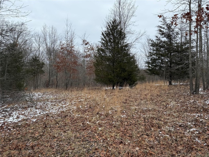 2 BCR 924, Patton, Missouri 63662, ,Farm,For Sale,BCR 924,MAR25008649