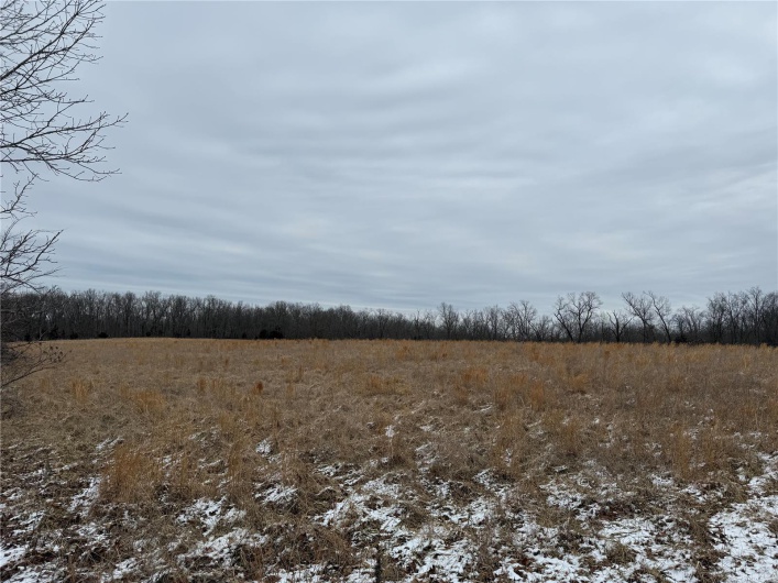 2 BCR 924, Patton, Missouri 63662, ,Farm,For Sale,BCR 924,MAR25008649