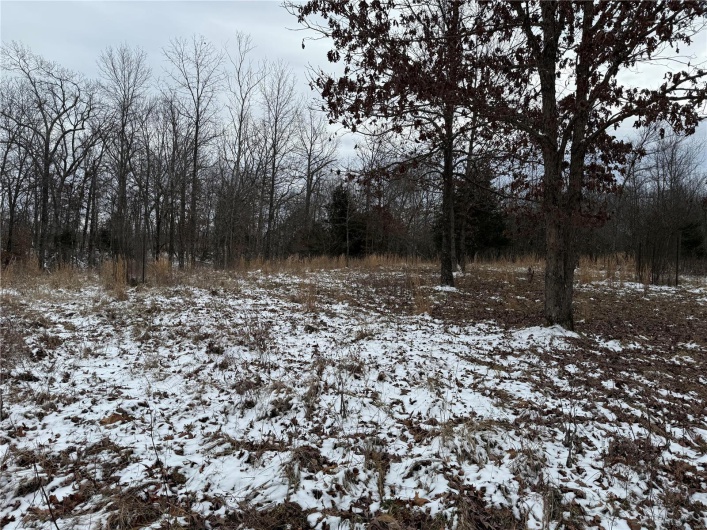 2 BCR 924, Patton, Missouri 63662, ,Farm,For Sale,BCR 924,MAR25008649