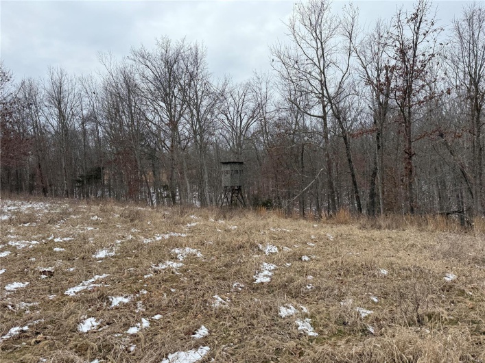 2 BCR 924, Patton, Missouri 63662, ,Farm,For Sale,BCR 924,MAR25008649