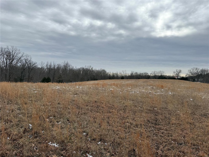 2 BCR 924, Patton, Missouri 63662, ,Farm,For Sale,BCR 924,MAR25008649