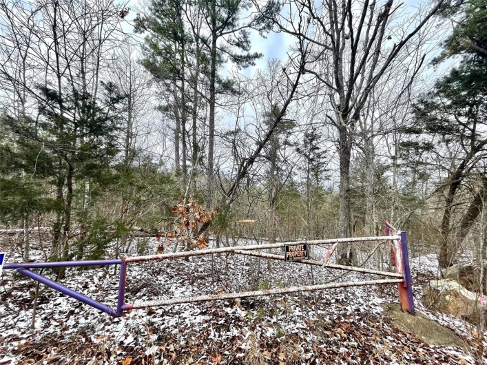 0 58.04 Ac Off Madison 9519, Fredericktown, Missouri 63645, ,Farm,For Sale,58.04 Ac Off Madison 9519,MAR25008627