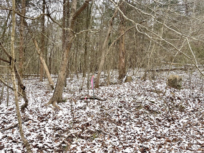0 58.04 Ac Off Madison 9519, Fredericktown, Missouri 63645, ,Farm,For Sale,58.04 Ac Off Madison 9519,MAR25008627