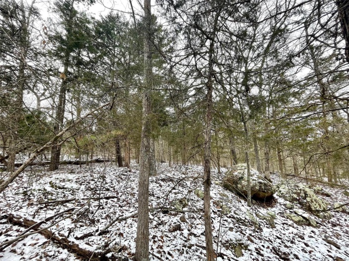 0 58.04 Ac Off Madison 9519, Fredericktown, Missouri 63645, ,Farm,For Sale,58.04 Ac Off Madison 9519,MAR25008627