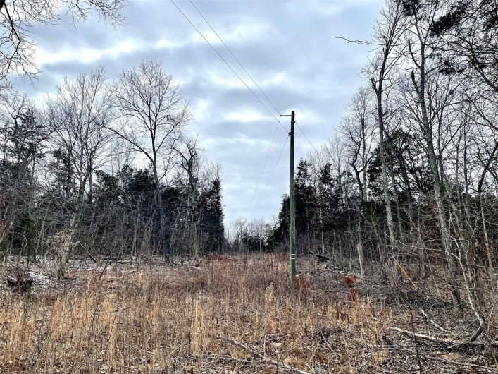 electric on site