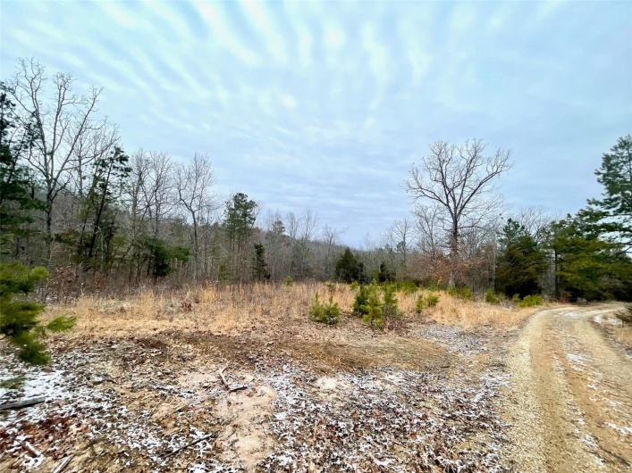 food plot or building site
