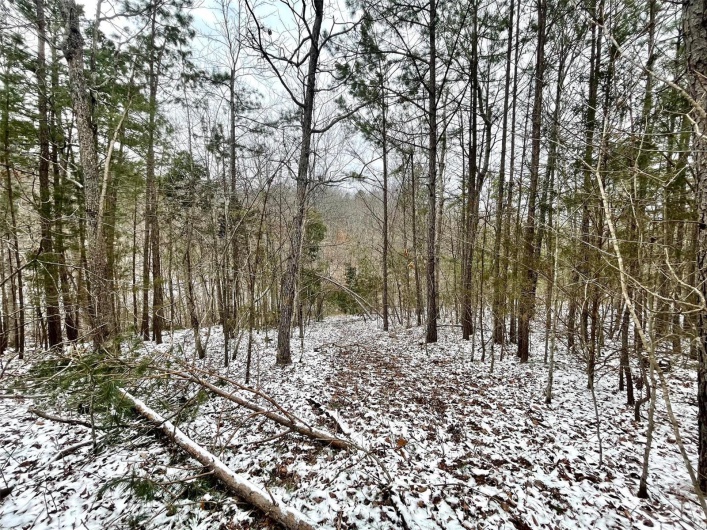 0 58.04 Ac Off Madison 9519, Fredericktown, Missouri 63645, ,Farm,For Sale,58.04 Ac Off Madison 9519,MAR25008627