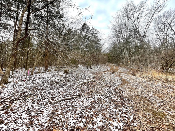 0 58.04 Ac Off Madison 9519, Fredericktown, Missouri 63645, ,Farm,For Sale,58.04 Ac Off Madison 9519,MAR25008627