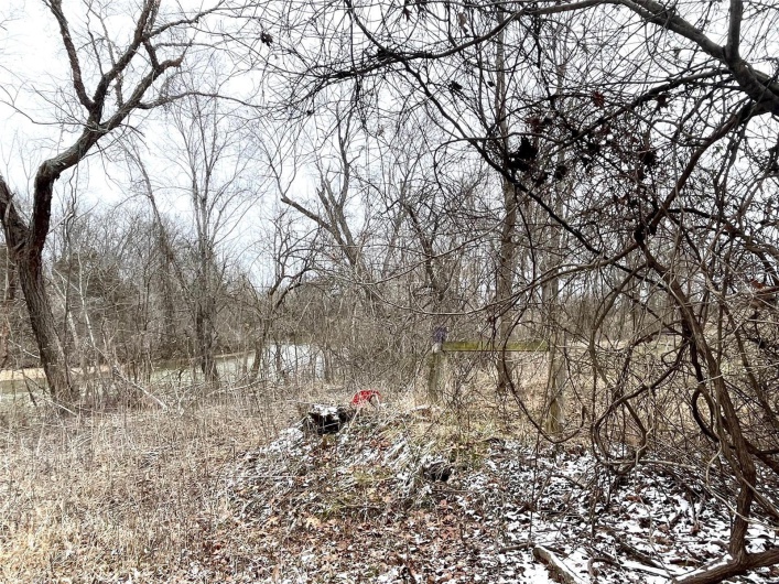 0 58.04 Ac Off Madison 9519, Fredericktown, Missouri 63645, ,Farm,For Sale,58.04 Ac Off Madison 9519,MAR25008627