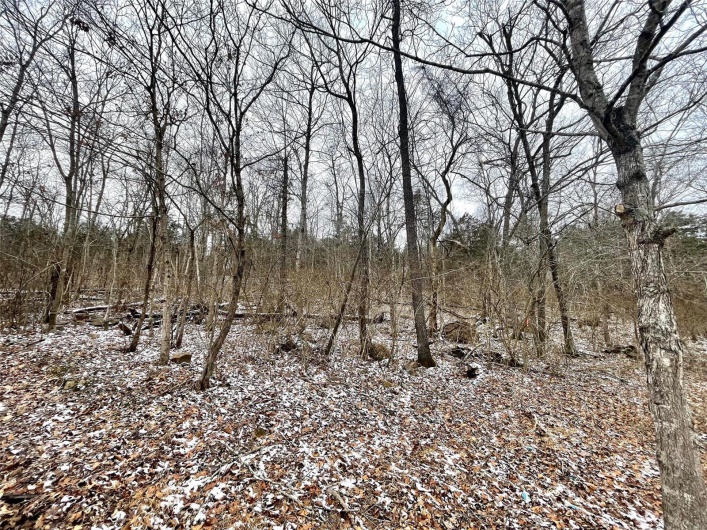 0 58.04 Ac Off Madison 9519, Fredericktown, Missouri 63645, ,Farm,For Sale,58.04 Ac Off Madison 9519,MAR25008627