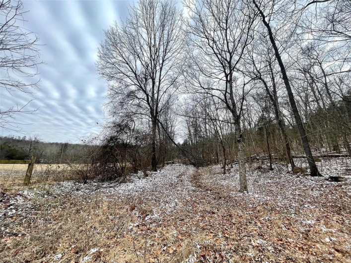 0 58.04 Ac Off Madison 9519, Fredericktown, Missouri 63645, ,Farm,For Sale,58.04 Ac Off Madison 9519,MAR25008627