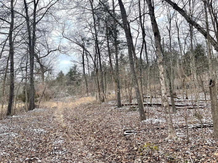 0 58.04 Ac Off Madison 9519, Fredericktown, Missouri 63645, ,Farm,For Sale,58.04 Ac Off Madison 9519,MAR25008627