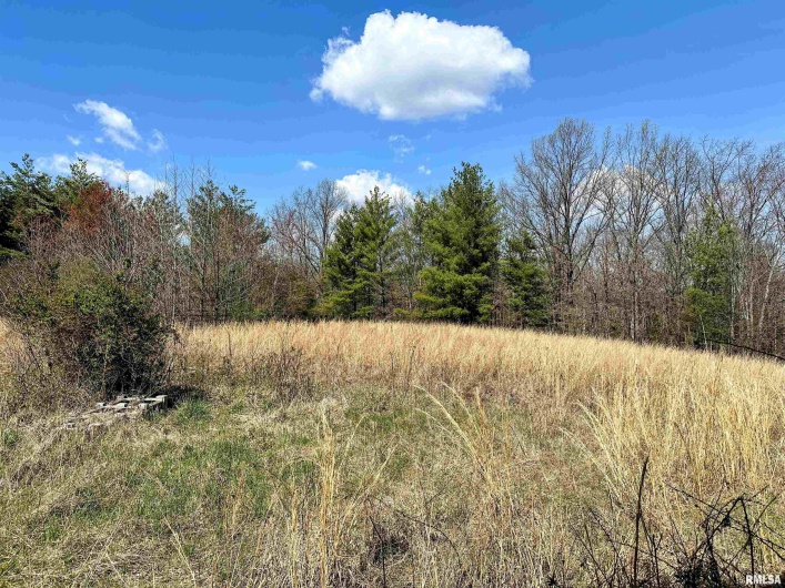 1925 MURPHY Road, Creal Springs, Illinois 62922, 4 Bedrooms Bedrooms, 0 ,2 BathroomsBathrooms,Residential,For Sale,MURPHY,0,RMAEB456793