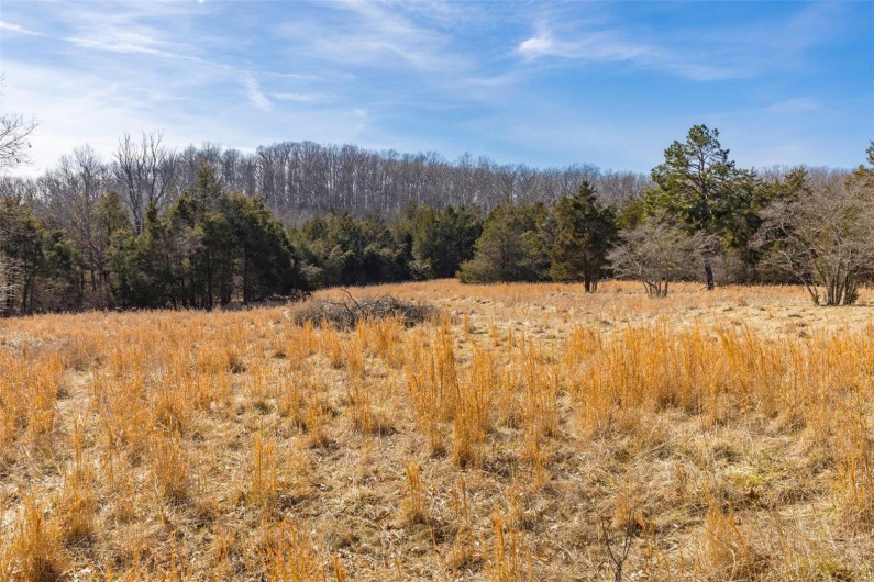Pasture