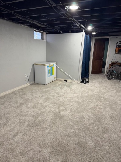 Basement featuring carpet