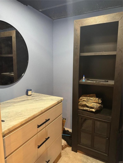 Walk in closet with light carpet