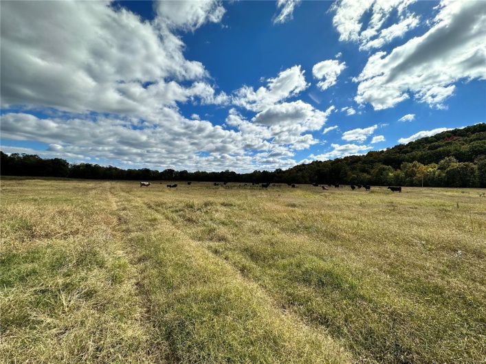 View of nature featuring a rural view