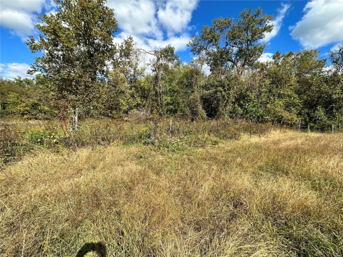 View of nature
