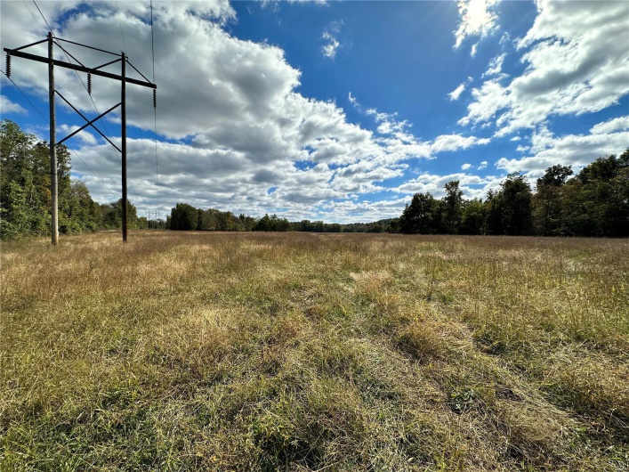 View of local wilderness featuring a rural view