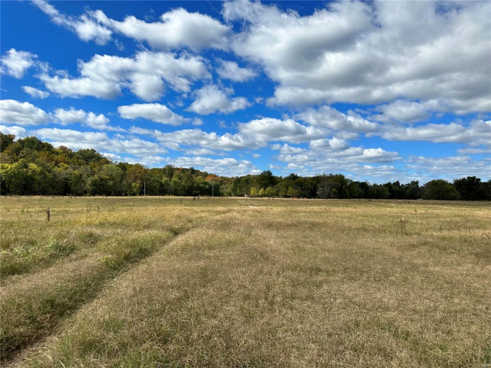 View of local wilderness featuring a rural view